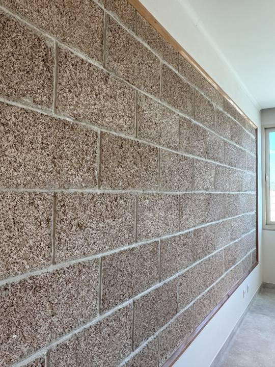 pared con bloques de cañamo en oficinas de fábrica de Cañhamor
