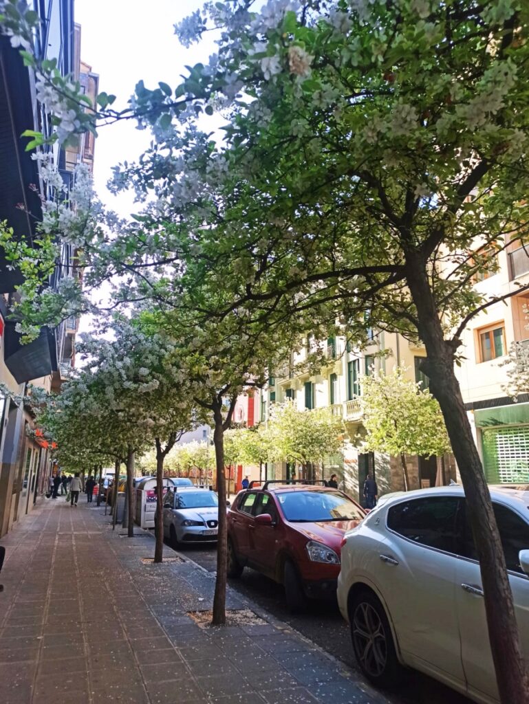 Para las ola de calor: calle arbolada en Estella-Lizarra con edificios, vehículos, peatones y sombra sobre la acera.