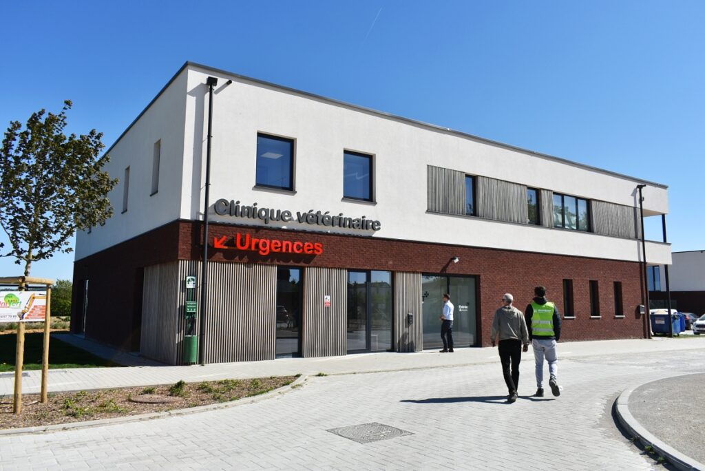 Clínica veterinaria construida en Bélgica con bloques de cáñamo y cal del sistema IsoHemp